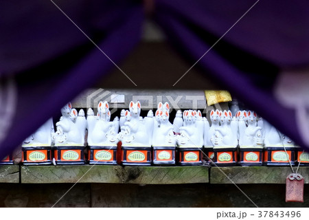 佐助稲荷神社 37843496