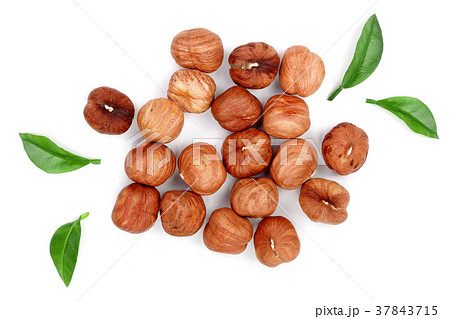 Hazelnuts with leaves isolated on white background Hazelnuts with leaves isolated on white background 37843715
