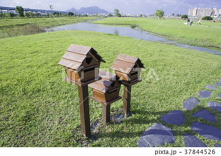 緑地庭園 緑地 緑の大地 37844526
