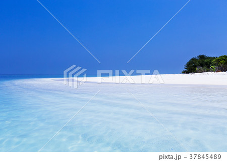 Beautiful Maldives nature Beautiful Maldives nature 37845489