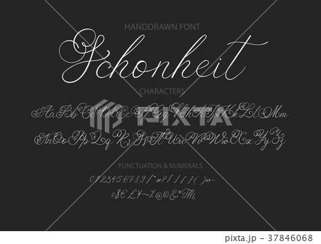 Modern calligraphic font. Brush painted letters. 37846068