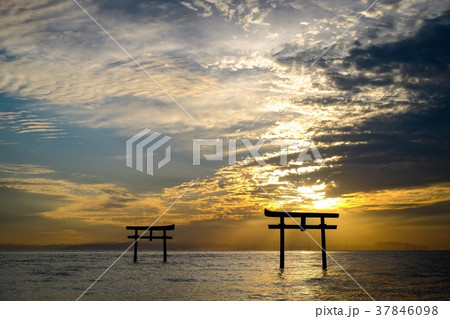 海中鳥居 （太良町） 37846098