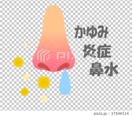 鼻と花粉 37846524