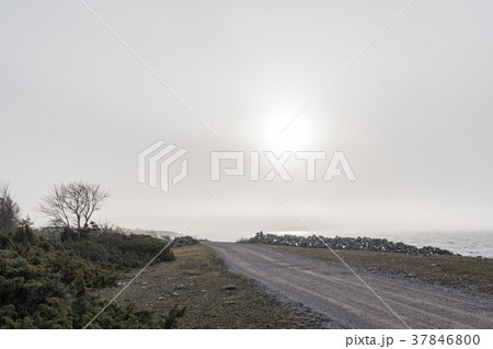 Misty coastal countryside view 37846800