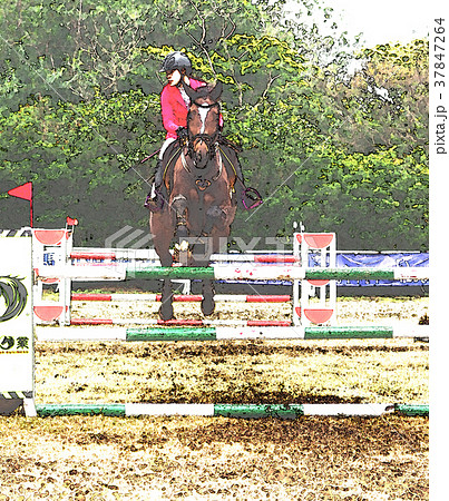 台湾 馬術 ライディング 37847264