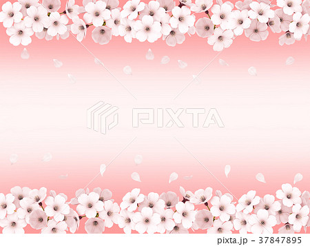 桜フレーム 37847895