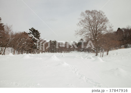 かまくらと男の子 37847916