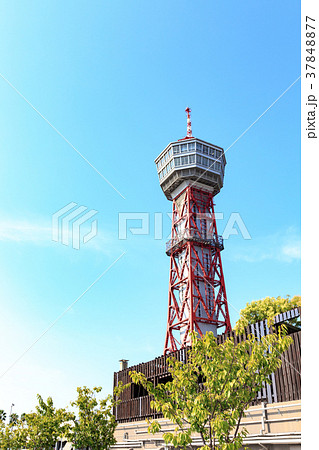 街景　2017夏のベイサイドプレイス博多　福岡市博多区 37848877