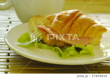 croissant stuffed pork bologna and green oak  37849016