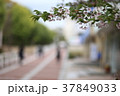 通い道 37849033