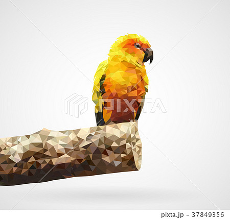 Polygonal Yellow Parrot, Vector, Illustration 37849356