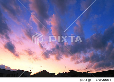 住宅街の夕暮れの風景 住宅街の夕暮れの風景 37850064