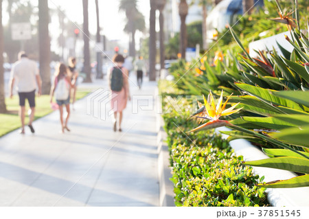 Promenade in santa monica, california 37851545