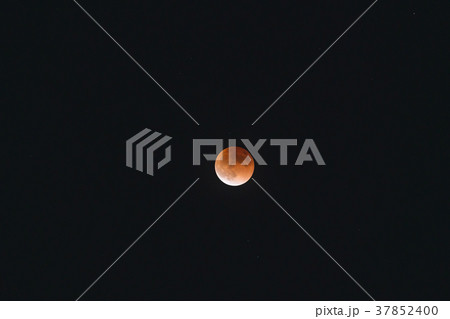 スーパーブルーブラッドムーン (皆既月食) スーパーブルーブラッドムーン (皆既月食) 37852400