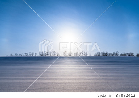《北海道》冬の美瑛・ハロ現象と雪原風景 37852412