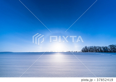 《北海道》冬の美瑛・ハロ現象と雪原風景 37852419