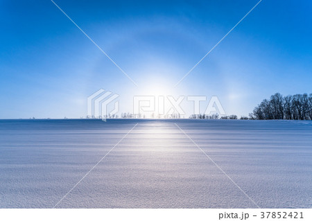 《北海道》冬の美瑛・ハロ現象と雪原風景 《北海道》冬の美瑛・ハロ現象と雪原風景 37852421