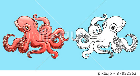 Lovely pink octopus colorful and contour 37852562