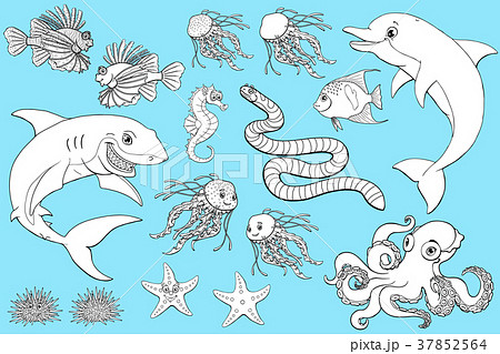 Sea serpent colorful on white Sea serpent colorful on white 37852564