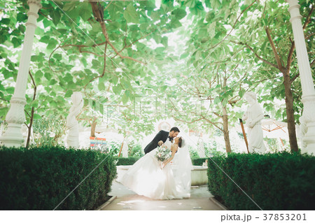 Beautiful romantic wedding couple of newlyweds Beautiful romantic wedding couple of newlyweds 37853201