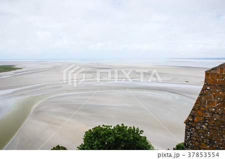silted fields in tide near Le Mont Saint-Michel silted fields in tide near Le Mont Saint-Michel 37853554