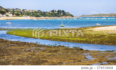 view of Perros-Guirec town through estuary view of Perros-Guirec town through estuary 37853668