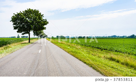 country landscape with road in Alsace region 37853811