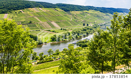 above view of valley of Mosel river in summer 37853854