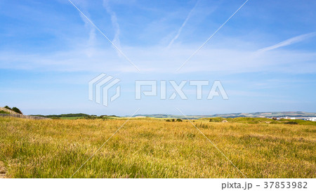 ground on Cap Gris-Nez in France 37853982