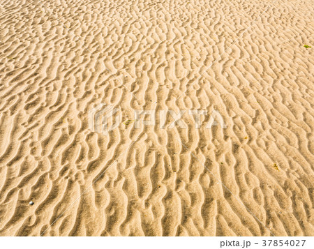 surface of yellow sand beach Le Touquet surface of yellow sand beach Le Touquet 37854027