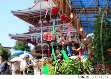 浅草ほおずき市　7月　浅草寺を背景に 37854975