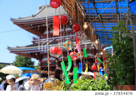 浅草ほおずき市 7月 浅草寺を背景に 浅草ほおずき市 7月 浅草寺を背景に 37854976