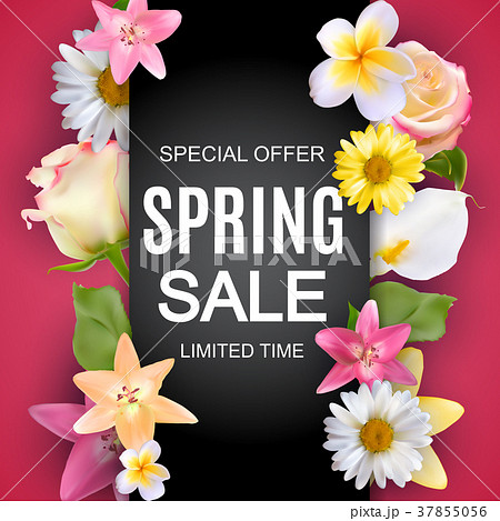 Spring Sale Cute Background with Colorful Flower Spring Sale Cute Background with Colorful Flower 37855056