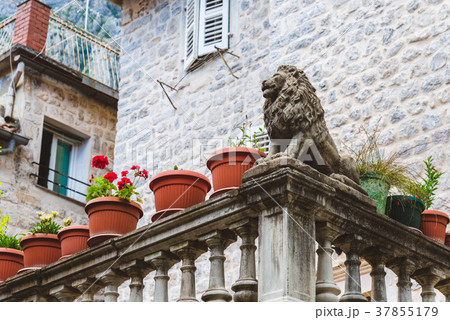 Venetian Lion Statue at Kotor 37855179