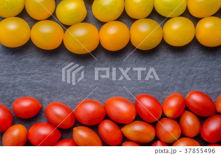 Red and Yellow tomatoes on a black background Red and Yellow tomatoes on a black background 37855496