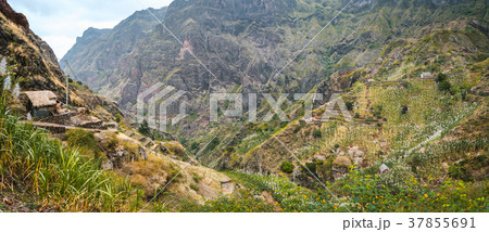 Panoramic view of the fertile ravine valley with 37855691