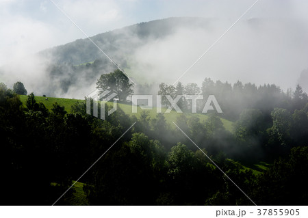 Foggy Valley in Styria in Austria Foggy Valley in Styria in Austria 37855905