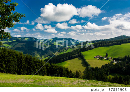 Landscape with Green Hills in Styria in Austria 37855908