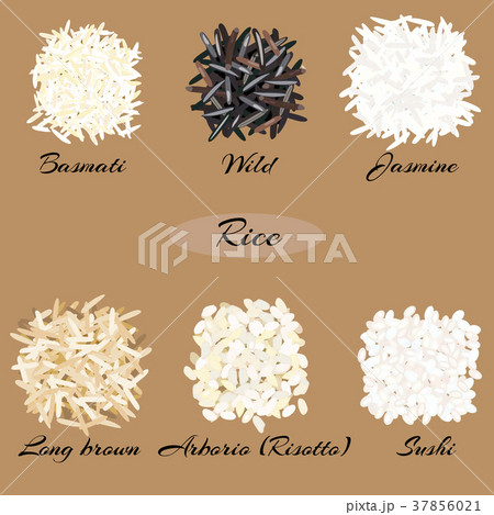 Different types of rice. 37856021