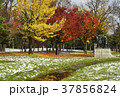 旭川_冬の常盤公園 旭川_冬の常盤公園 37856824