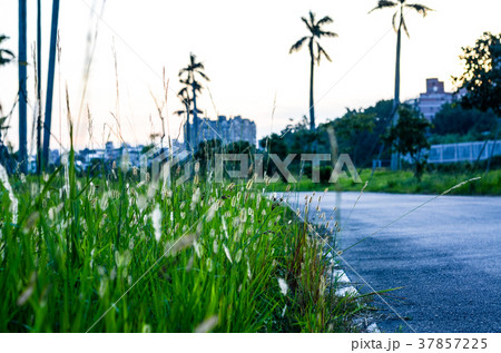 環境 アンビエント 環境的に 37857225