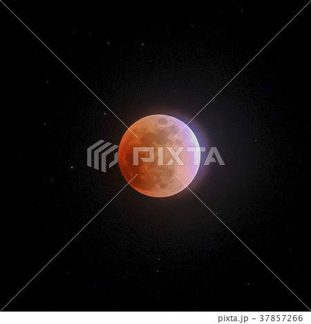 皆既月食３ 37857266