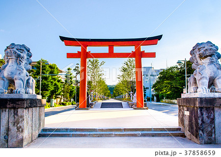 鎌倉 鶴岡八幡宮 二の鳥居と狛犬の写真素材