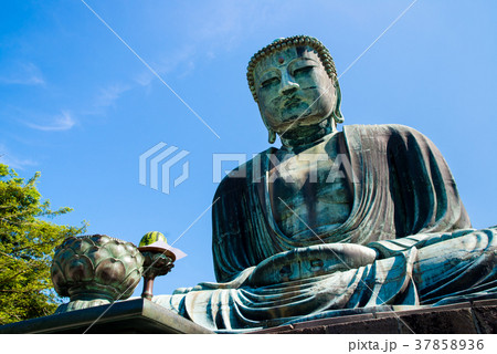 鎌倉大仏 夏 鎌倉大仏 夏 37858936