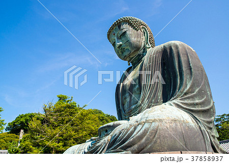 鎌倉大仏 夏 鎌倉大仏 夏 37858937
