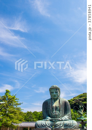 鎌倉大仏 夏 37858941