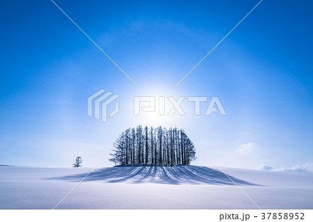 雪 雪景色の画像素材 ピクスタ