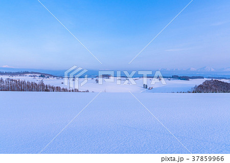 《北海道》冬の美瑛・雪原風景の大地 《北海道》冬の美瑛・雪原風景の大地 37859966