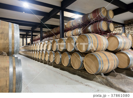 winery with wooden barrels 37861080