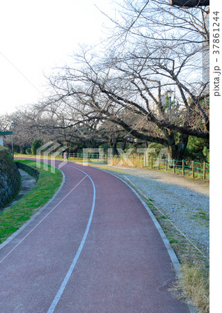 街景　夕焼けの舞鶴公園　福岡市中央区 37861244